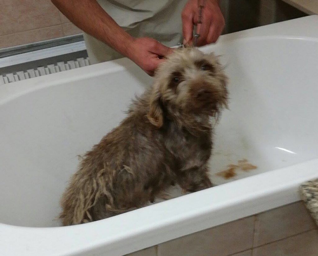First bath!