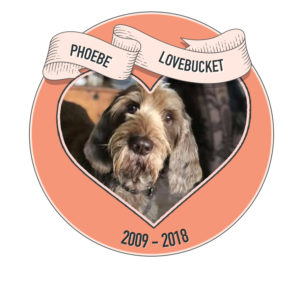 In memory of Phoebe